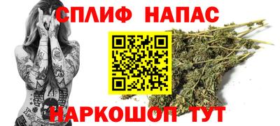 дмт Краснознаменск