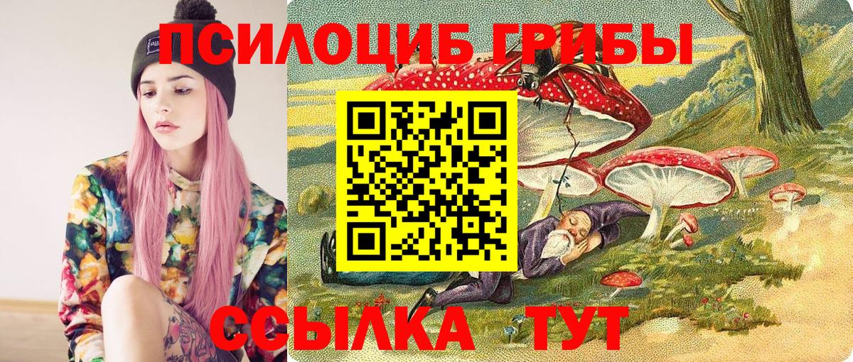 Избербаш  Галлюциногенные грибы мухоморы  Вход с VPN  Галлюциногенные грибы ЛСД 